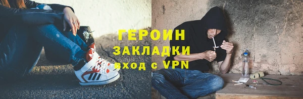 индика Бородино