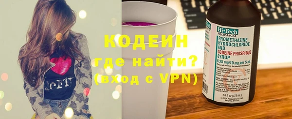 индика Бородино