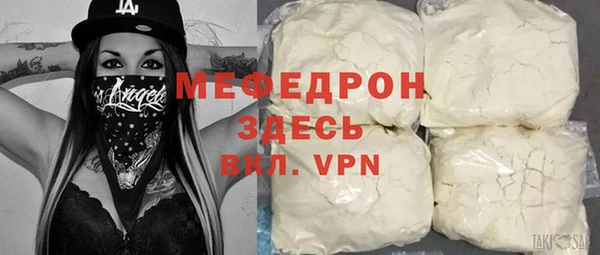 индика Бородино