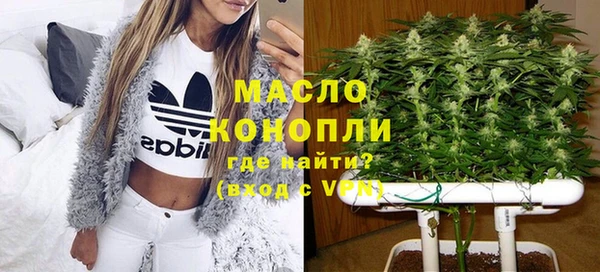 индика Бородино