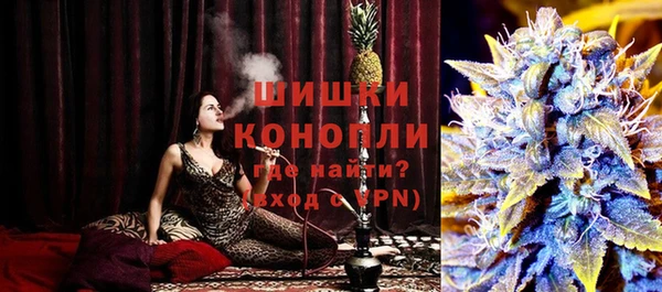 индика Бородино
