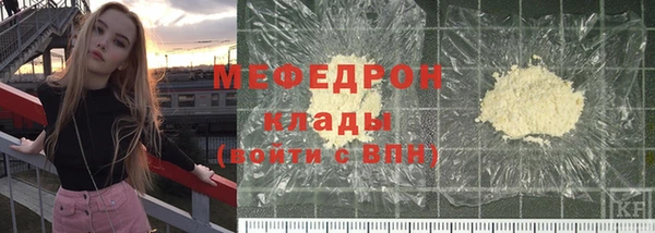 индика Бородино