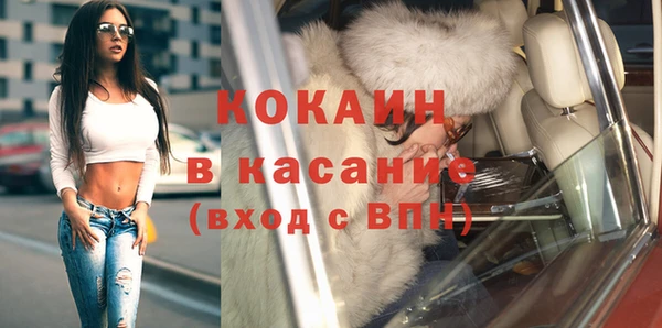 индика Бородино
