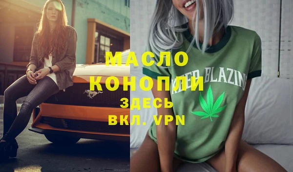 индика Бородино