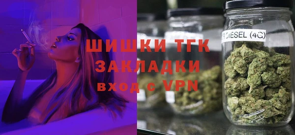 индика Бородино