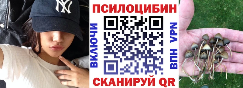 Псилоцибиновые грибы Psilocybe  цены   Томари 